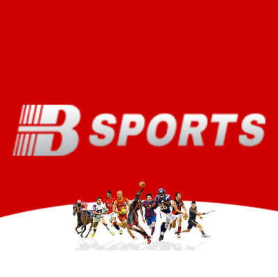 B体育(中国)官方网站-B Sports